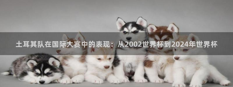 2026世亚预赛赛程表:土耳其队在国际大赛中的表现:从2002世界杯到2024年世界杯