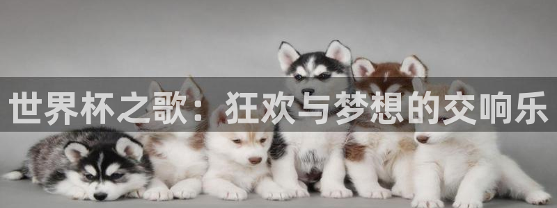 今年世界杯:世界杯之歌:狂欢与梦想的交响乐