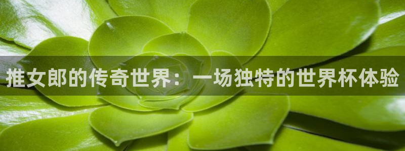 预选赛世界杯:推女郎的传奇世界:一场独特的世界杯体验