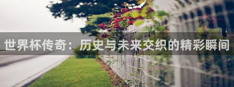 2026世界杯倒计时:世界杯传奇:历史与未来交织的精彩瞬间