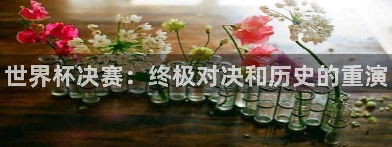 葡萄牙世界杯赛程:世界杯决赛:终极对决和历史的重演